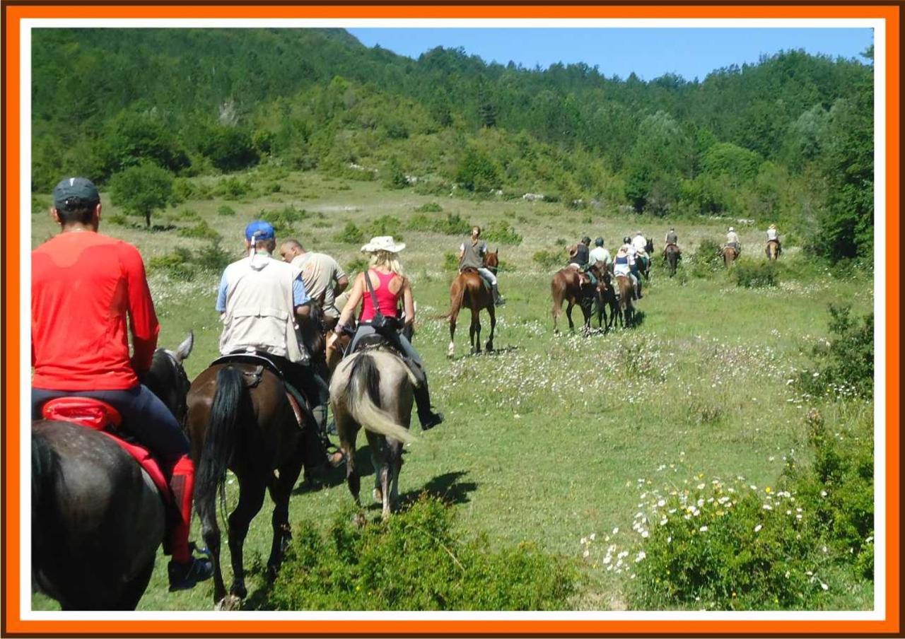 Crete Gialle Farm stay *